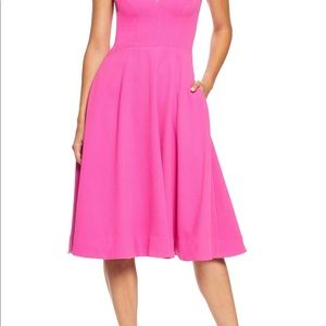 Dress the Population Catalina Fit & Flare Dress